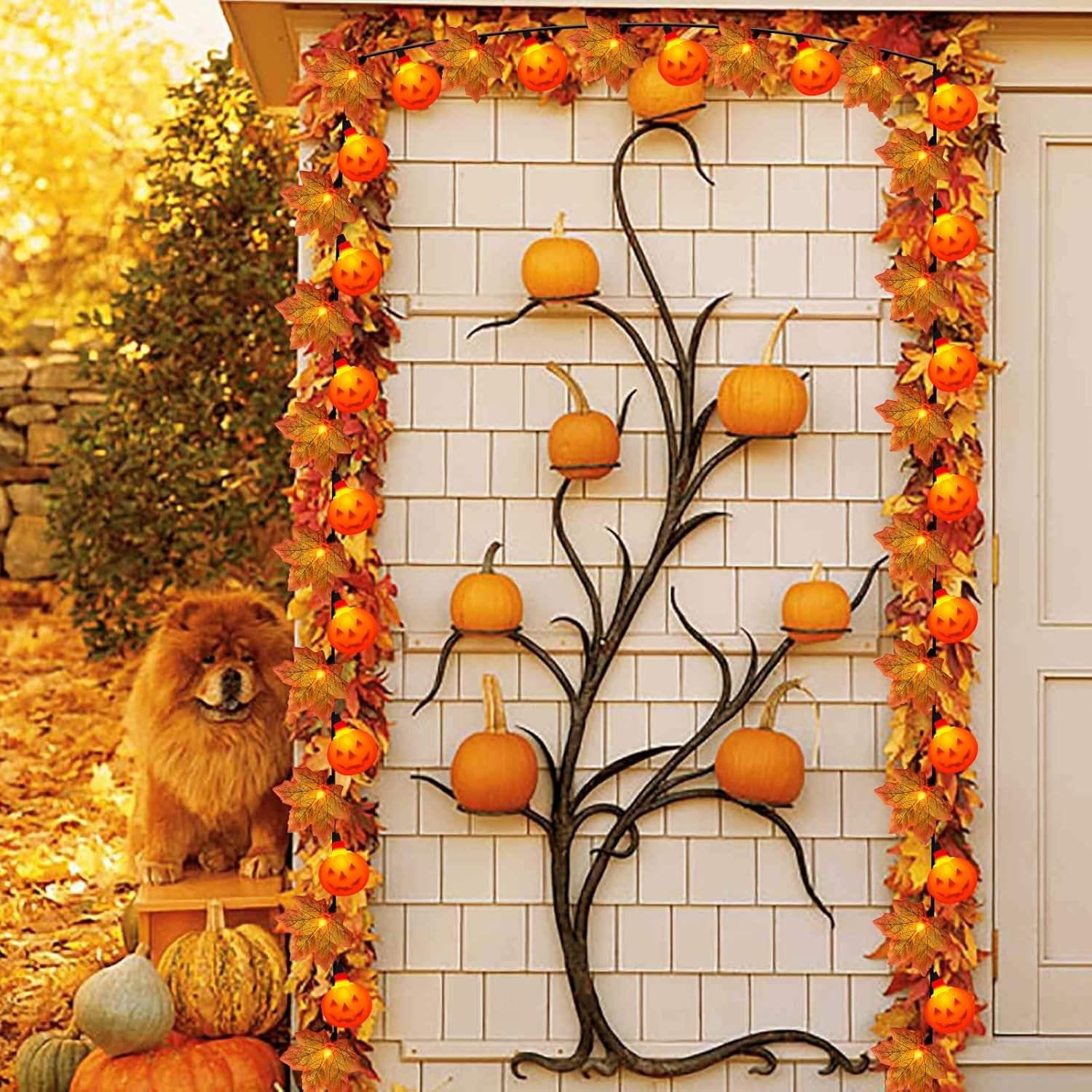 Thanksgiving Day Red Maple Leaf with Pumpkin LED Lights, 13.5FT Plug in Autumn Fall Light with 35 Mini LED Bulbs for Thanksgiving Day Halloween Home DIY Party Decoration