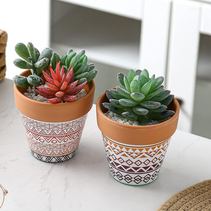 Pots Terracotta Succulent Mini Planter Garden with Drainage Cactus Nursery (Clay Pot-2)