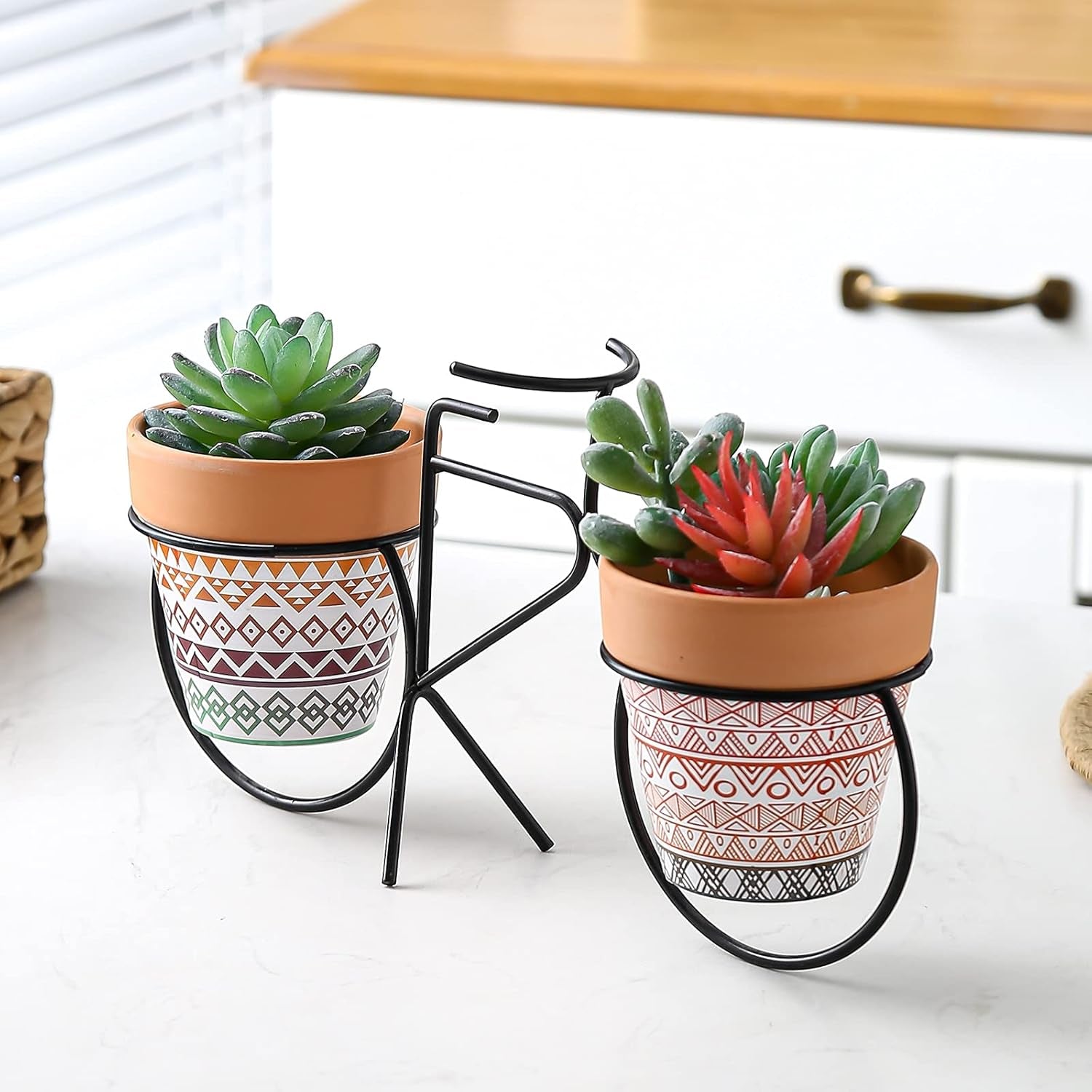 Pots Terracotta Succulent Mini Planter Garden with Drainage Cactus Nursery (Clay Pot-2)
