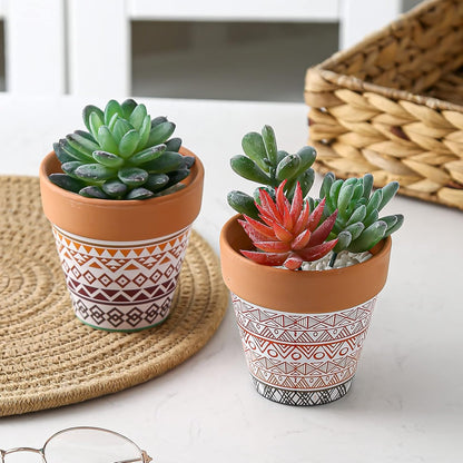Pots Terracotta Succulent Mini Planter Garden with Drainage Cactus Nursery (Clay Pot-2)